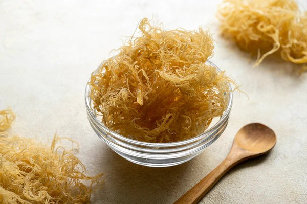 What Is Sea Moss? Your 101 Guide To Understanding This Goodie