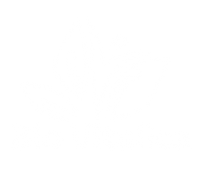 Bio Vitalica | Combining Passion, Plants, And Knowledge To Heal