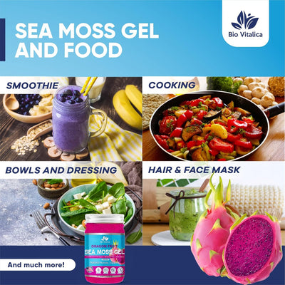 Sea Moss Gel Dragon Fruit