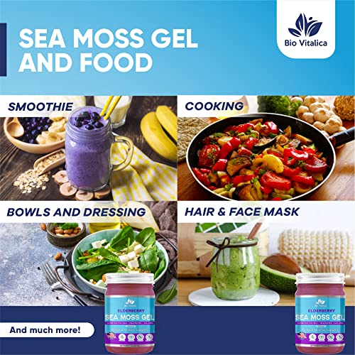 Sea Moss Elderberry Gel by BioVItalica