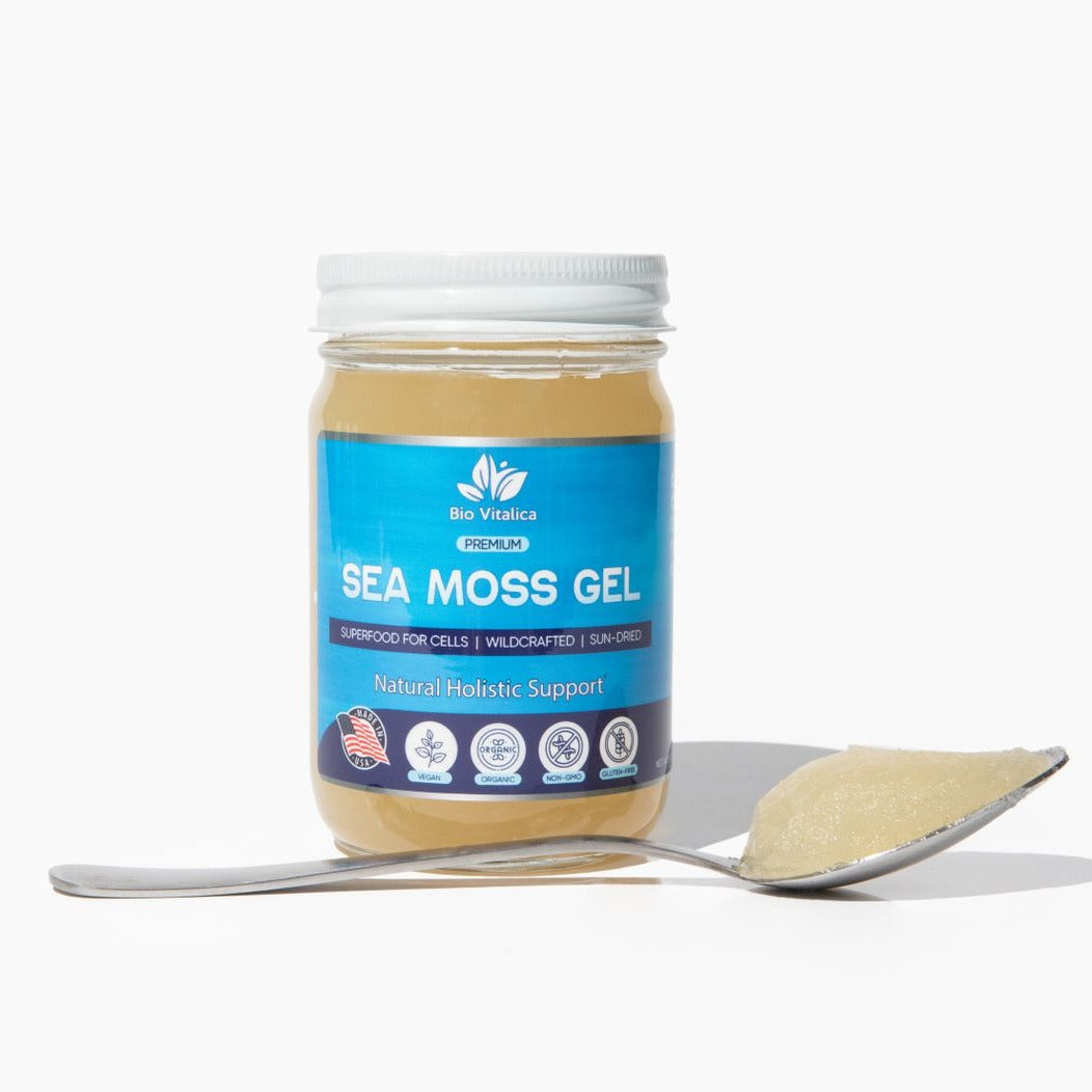 Sea Moss Gel | Combining Passion, Plants, And Knowledge To Heal – Bio ...
